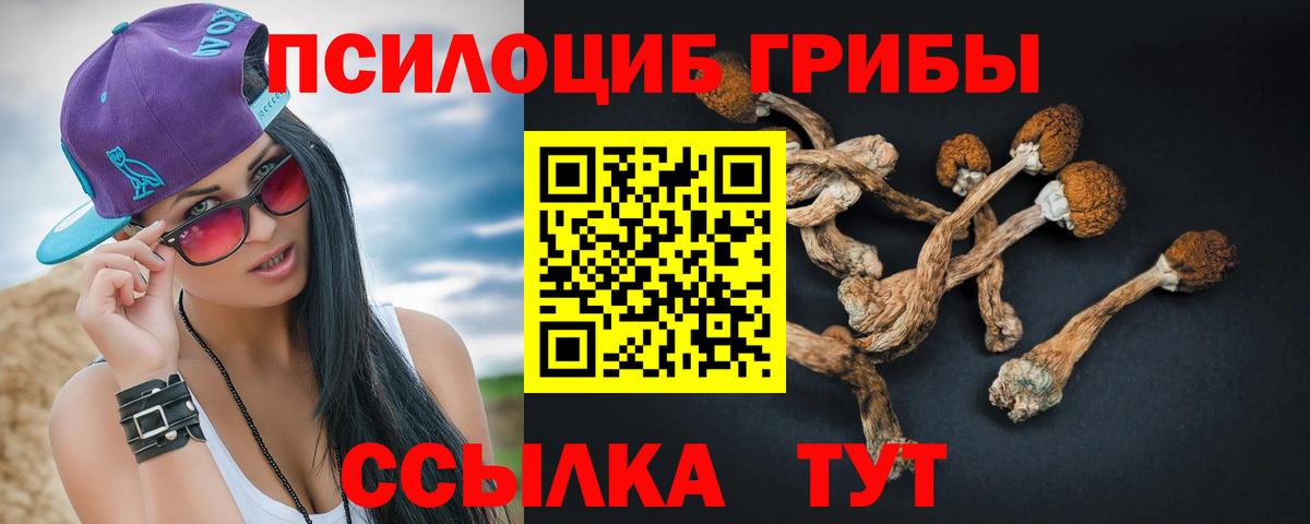 Псилоцибиновые грибы Psilocybine cubensis Уссурийск